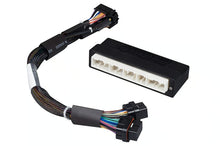 Load image into Gallery viewer, Haltech Elite 1000/1500 Honda Integra DC5 Plug 'n' Play Adaptor Harness - HT-140961
