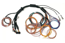 Load image into Gallery viewer, Haltech Nexus R3 Universal Wire-in Harness - 2.5m (8&#39;) - HT-183200