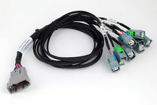Load image into Gallery viewer, Haltech Nexus Universal V8 - GT150 (USCAR) Injector Primary Breakout - HT-186002