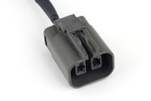 Load image into Gallery viewer, Haltech Nexus LS 2 Pin Yazaki Alternator Harness Length: 200mm - HT-186125