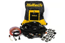 Load image into Gallery viewer, Haltech Universal V8 Terminated Engine Harness for Nexus R5 VCU - HT-186200