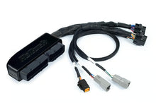 Load image into Gallery viewer, Haltech Nexus S2/S3 Plug &#39;n&#39; Play Adapter Harness VW/Audi 1.8T AWP - HT-186340
