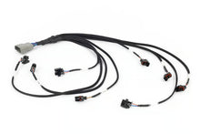 Load image into Gallery viewer, Haltech Nexus Rebel LS - Multec 2 Injector Sub-Harness - HT-186503
