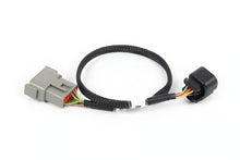 Load image into Gallery viewer, Haltech Nexus Rebel LS - 6-pin DBW Adaptor - HT-186505