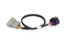 Load image into Gallery viewer, Haltech Nexus Rebel LS - 8-pin DBW Adaptor - HT-186506