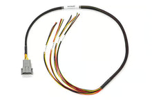 Load image into Gallery viewer, Haltech Elite 1500 Mazda 13B S4/5 CAS with Flying Lead Ignition Terminated Harness - HT-140875