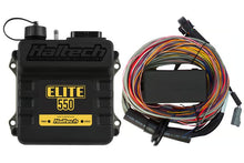 Load image into Gallery viewer, Haltech Elite 550 + Premium Universal Wire-in Harness Kit Length: 2.5m (8&#39;) - HT-150404