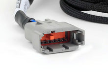 Load image into Gallery viewer, Haltech Nexus Universal V8 - Junior Timer (EV1) Injector Primary Breakout - HT-186000