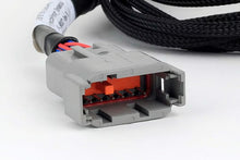 Load image into Gallery viewer, Haltech Nexus Universal V8 - GT150 (USCAR) Injector Primary Breakout - HT-186002