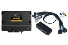 Load image into Gallery viewer, Haltech Nexus S3 Plug &#39;n&#39; Play Adapter Harness Kit - Subaru WRX MY99-00 - HT-213305