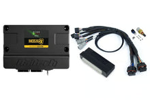 Load image into Gallery viewer, Haltech Nexus S3 Plug &#39;n&#39; Play Adapter Harness Kit - Subaru WRX / STI MY11-19 (Australian Delivered Models Only) - HT-213312