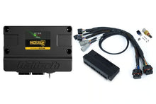 Load image into Gallery viewer, Haltech Nexus S3 Plug &#39;n&#39; Play Adapter Harness Kit - Honda S2000 (AP1 / AP2 ) - HT-213314