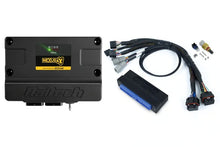 Load image into Gallery viewer, Haltech Nexus S3 Plug &#39;n&#39; Play Adapter Harness Kit - Nissan Silvia S13 SR20 - HT-213315