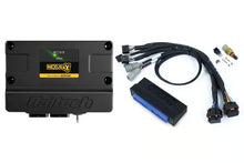 Load image into Gallery viewer, Haltech Nexus S3 Plug &#39;n&#39; Play Adapter Harness Kit - Nissan Patrol Y60 Auto - HT-213321