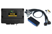Load image into Gallery viewer, Haltech Nexus S3 Plug &#39;n&#39; Play Adapter Harness Kit - Nissan Patrol Y60 Y61 Auto - HT-213322