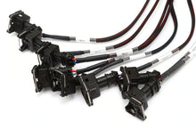Load image into Gallery viewer, Haltech Elite 2000/2500 GM GEN III LS1 &amp; LS6 non DBW Terminated Harness - HT-141360