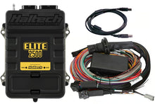 Load image into Gallery viewer, Haltech Elite 2500 + Premium Universal Wire-in Harness Kit Length: 2.5m (8&#39;) - HT-151304