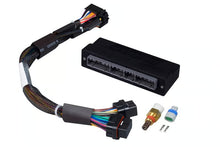 Load image into Gallery viewer, Haltech Elite 2500 + Toyota LandCruiser 80 Series Plug&#39;n&#39;Play Adaptor Harness Kit - HT-151389