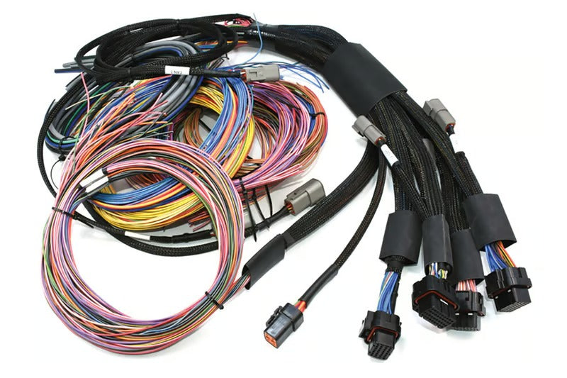 Haltech NEXUS R5 + Universal Wire-in Harness Kit Length: 2.5m (8') - HT-195200