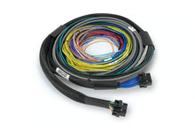 Load image into Gallery viewer, Haltech Nexus S3 ECU + Universal Wire-in Harness - 2.5m (8&#39;) - HT-213200