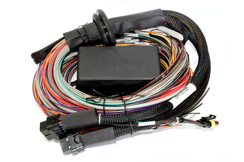 Haltech Elite 2500 + Premium Universal Wire-in Harness Kit Length: 2.5m (8') - HT-151304