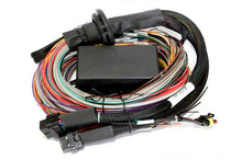 Load image into Gallery viewer, Haltech Elite 2500 + Premium Universal Wire-in Harness Kit Length: 2.5m (8&#39;) - HT-151304
