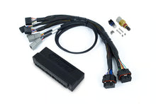Load image into Gallery viewer, Haltech Nexus S2 Plug &#39;n&#39; Play Adapter Harness Kit - Honda OBD-I - HT-212300