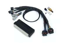 Load image into Gallery viewer, Haltech Nexus S2 Plug &#39;n&#39; Play Adapter Harness Kit - Honda EP3 - HT-212302