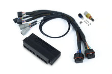 Load image into Gallery viewer, Haltech Nexus S2 Plug &#39;n&#39; Play Adapter Harness Kit - Subaru WRX MY99-00 - HT-212305