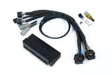 Load image into Gallery viewer, Haltech Nexus S2 Plug &#39;n&#39; Play Adapter Harness Kit - Honda S2000 (AP1 / AP2 ) - HT-212314