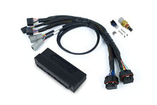 Load image into Gallery viewer, Haltech Nexus S3 Plug &#39;n&#39; Play Adapter Harness Kit - Honda OBD-I - HT-213300