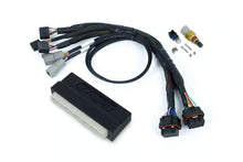Load image into Gallery viewer, Haltech Nexus S3 Plug &#39;n&#39; Play Adapter Harness Kit - Honda DC5 - HT-213301