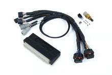Load image into Gallery viewer, Haltech Nexus S3 Plug &#39;n&#39; Play Adapter Harness Kit - Honda EP3 - HT-213302