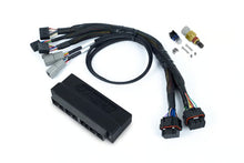 Load image into Gallery viewer, Haltech Nexus S3 Plug &#39;n&#39; Play Adapter Harness Kit - Subaru WRX MY99-00 - HT-213305