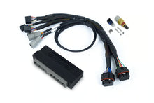 Load image into Gallery viewer, Haltech Nexus S3 Plug &#39;n&#39; Play Adapter Harness Kit - Nissan Skyline R34 GT-T - HT-213309