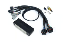 Load image into Gallery viewer, Haltech Nexus S3 Plug &#39;n&#39; Play Adapter Harness Kit - Subaru WRX / STI MY11-19 (Australian Delivered Models Only) - HT-213312
