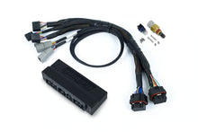 Load image into Gallery viewer, Haltech Nexus S3 Plug &#39;n&#39; Play Adapter Harness Kit - Toyota Chaser &amp; Soarer - HT-213313