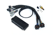Load image into Gallery viewer, Haltech Nexus S3 Plug &#39;n&#39; Play Adapter Harness Kit - Honda S2000 (AP1 / AP2 ) - HT-213314