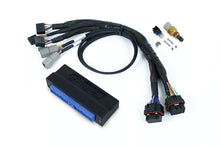 Load image into Gallery viewer, Haltech Nexus S3 Plug &#39;n&#39; Play Adapter Harness Kit - Nissan Silvia S13 SR20 - HT-213315
