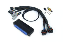 Load image into Gallery viewer, Haltech Nexus S3 Plug &#39;n&#39; Play Adapter Harness Kit - Nissan Silvia S15 - HT-213317