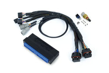 Load image into Gallery viewer, Haltech Nexus S3 Plug &#39;n&#39; Play Adapter Harness Kit - Nissan Skyline R32/R33/R34 GT-R - HT-213320