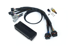 Load image into Gallery viewer, Haltech Nexus S3 Plug &#39;n&#39; Play Adapter Harness Kit - Toyota LandCruiser 1FZ-FE - HT-213323