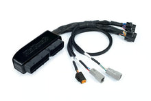 Load image into Gallery viewer, Haltech Nexus S3 Plug &#39;n&#39; Play Adapter Harness Kit - VW/Audi 1.8T AWP - HT-213325