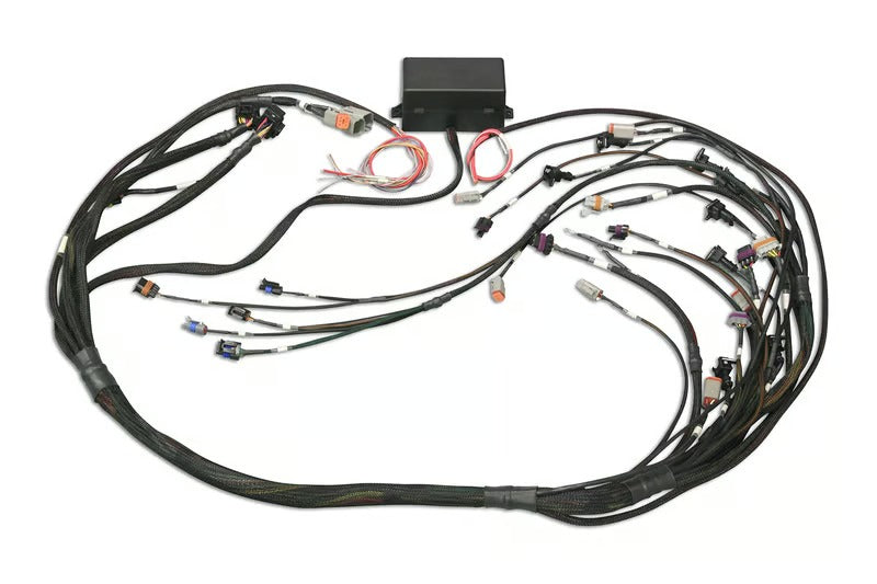 Haltech Elite 2000/2500 GM GEN III LS1 & LS6 non DBW Terminated Harness - HT-141360