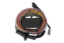 Load image into Gallery viewer, Haltech Elite 550 + Premium Universal Wire-in Harness Kit Length: 2.5m (8&#39;) - HT-150404