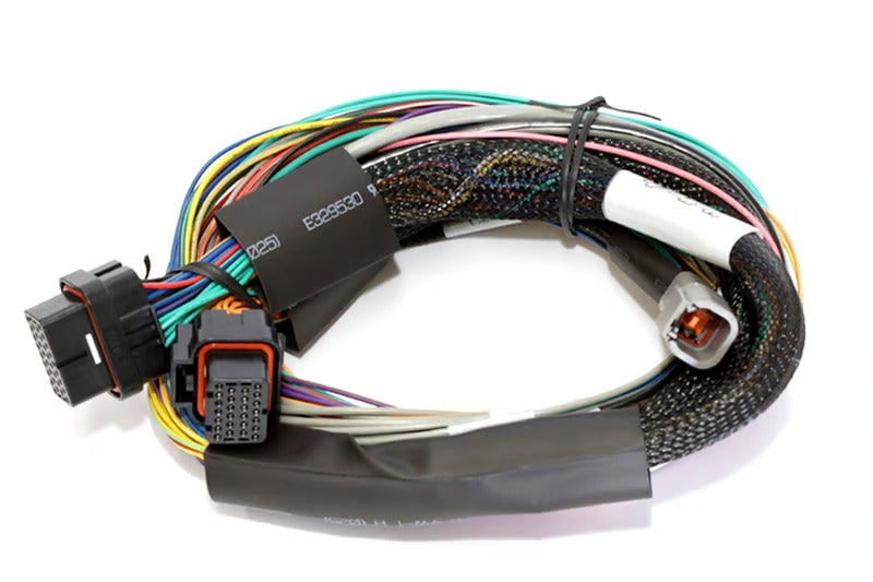 Haltech Elite 2500 + Basic Universal Wire-in Harness Kit Length: 2.5m (8') - HT-151302