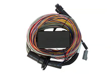 Load image into Gallery viewer, Haltech Elite 750 + Premium Universal Wire-in Harness Kit Length: 2.5m (8&#39;) - HT-150604
