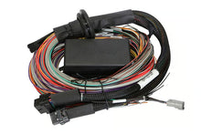 Load image into Gallery viewer, Haltech Elite 1500 + Premium Universal Wire-in Harness Kit Length: 5.0m (16&#39;) - HT-150905