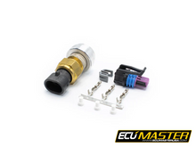 Load image into Gallery viewer, ECU Master WHP Fluid Temperature Sensor Kit, 3/8 NPT