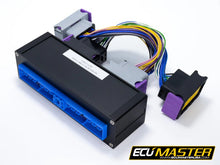 Load image into Gallery viewer, ECU Master NISSAN RB25 R32/R33 PNP Adapter For EMU Classic